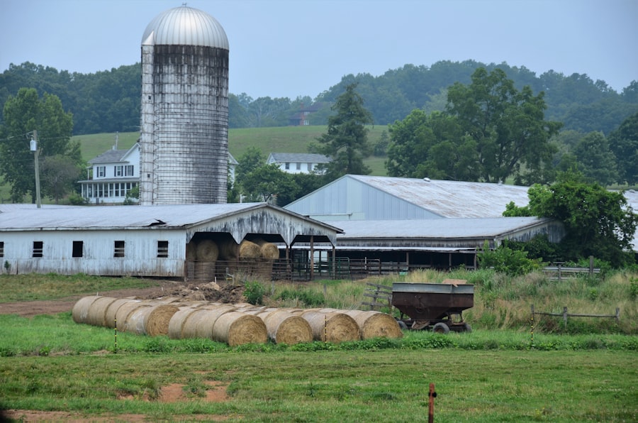 farmland asset bubble