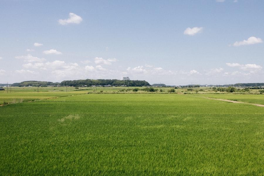 agriculture land investing