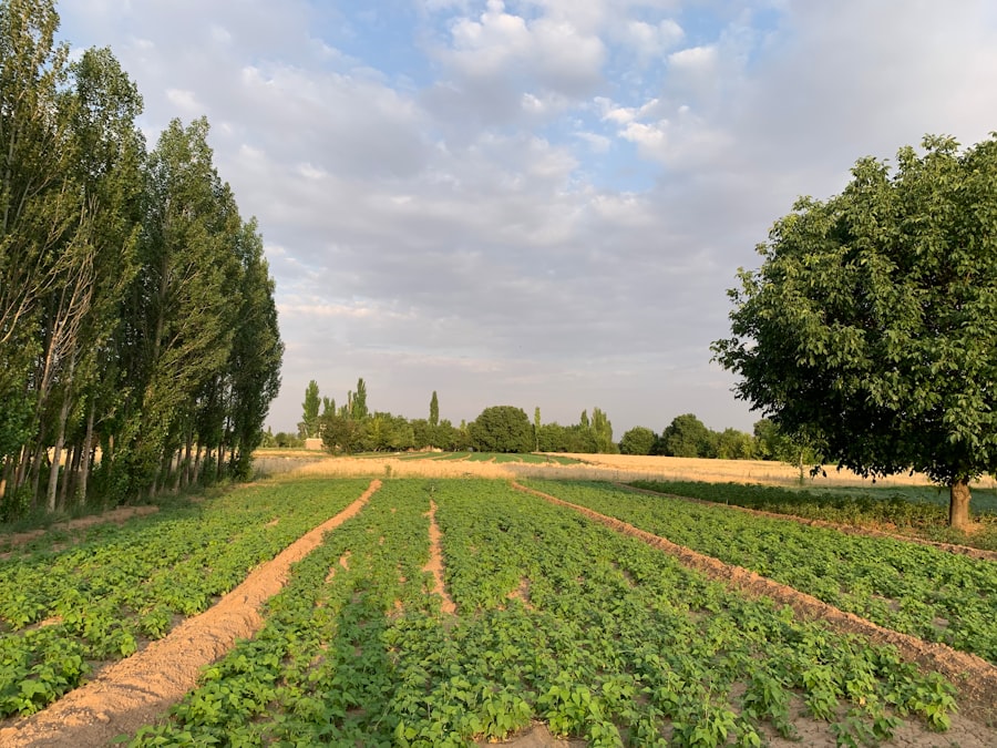 agricultural land investment
