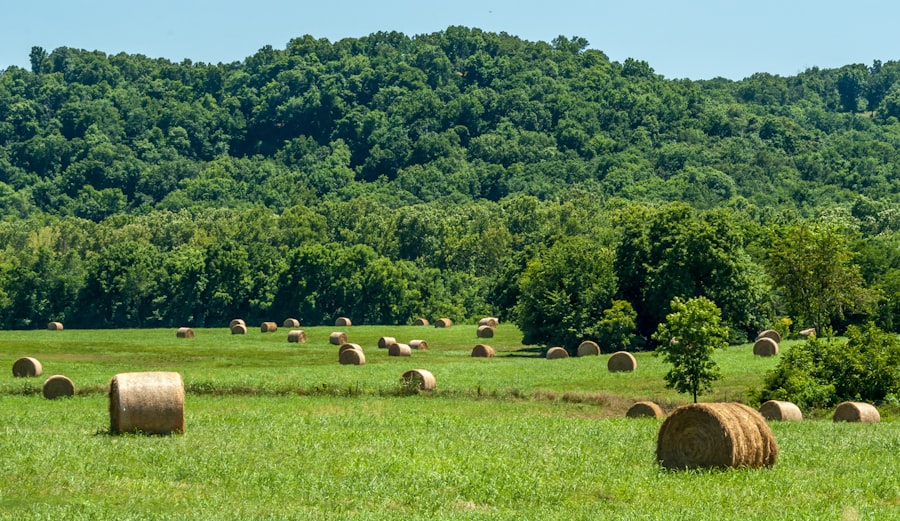 farmland asset class