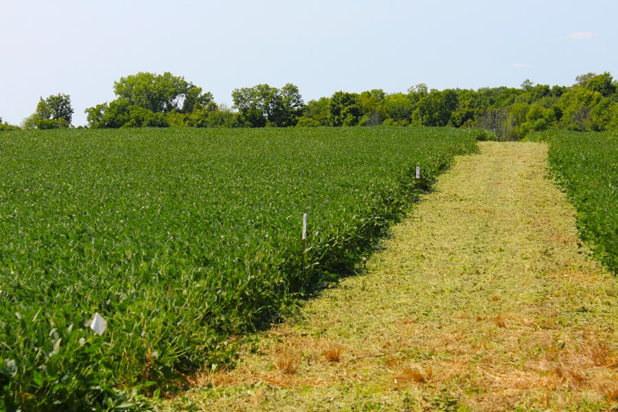 farmland investment