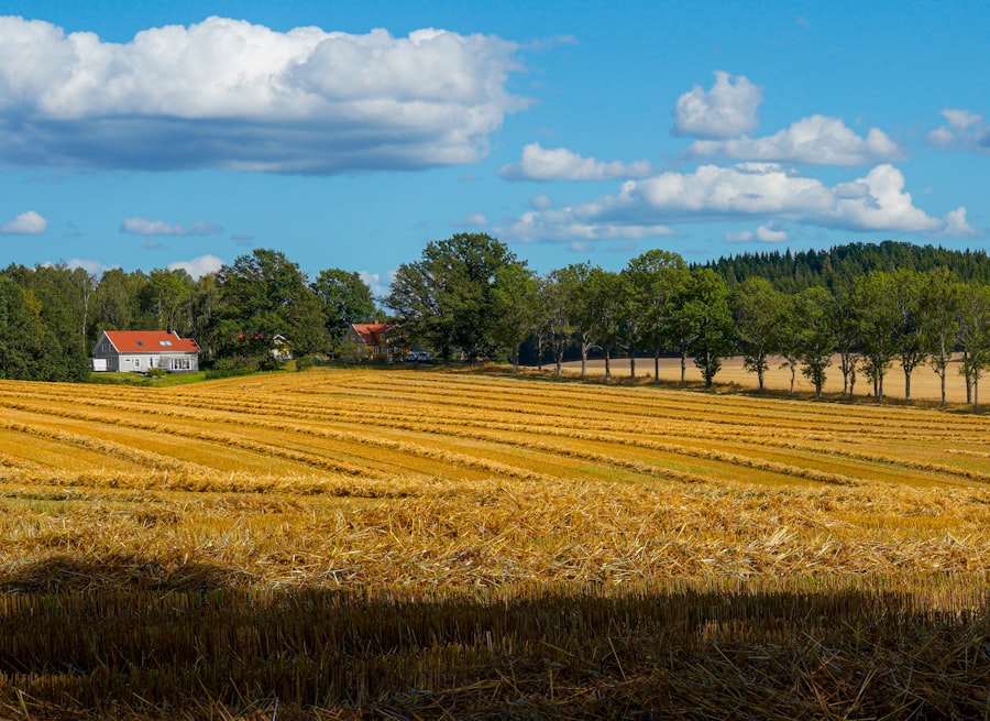 subprime lending agricultural markets