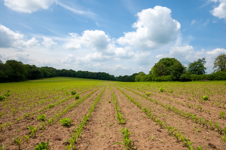 private equity farmland buying