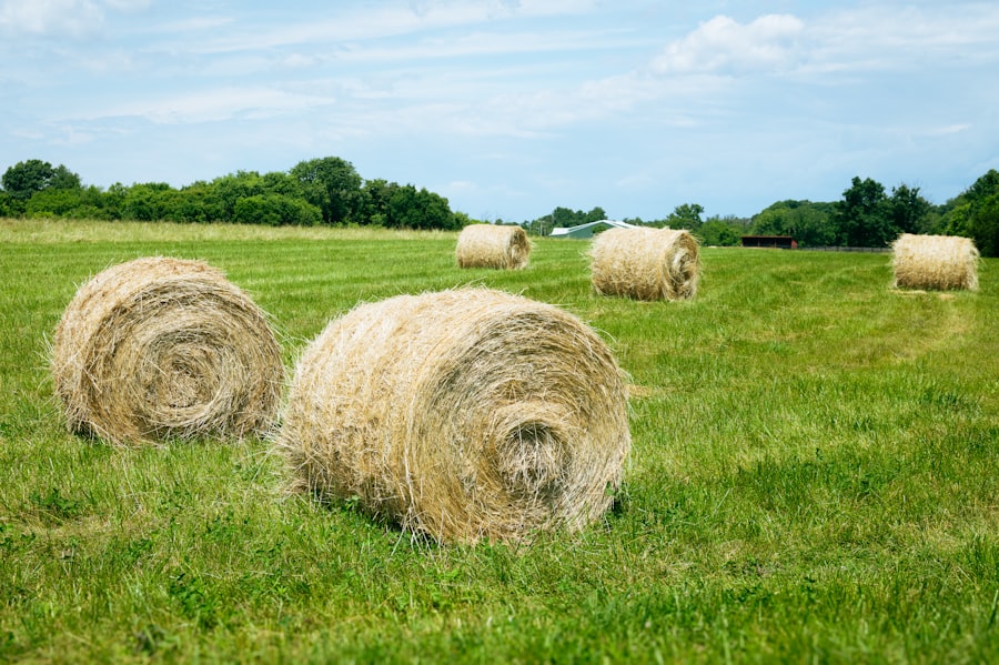 farmland prices crash