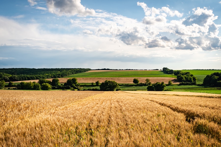 farmland investment risks