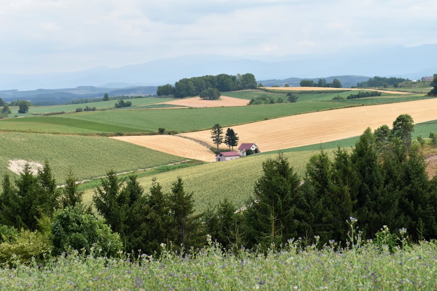 farmland investment
