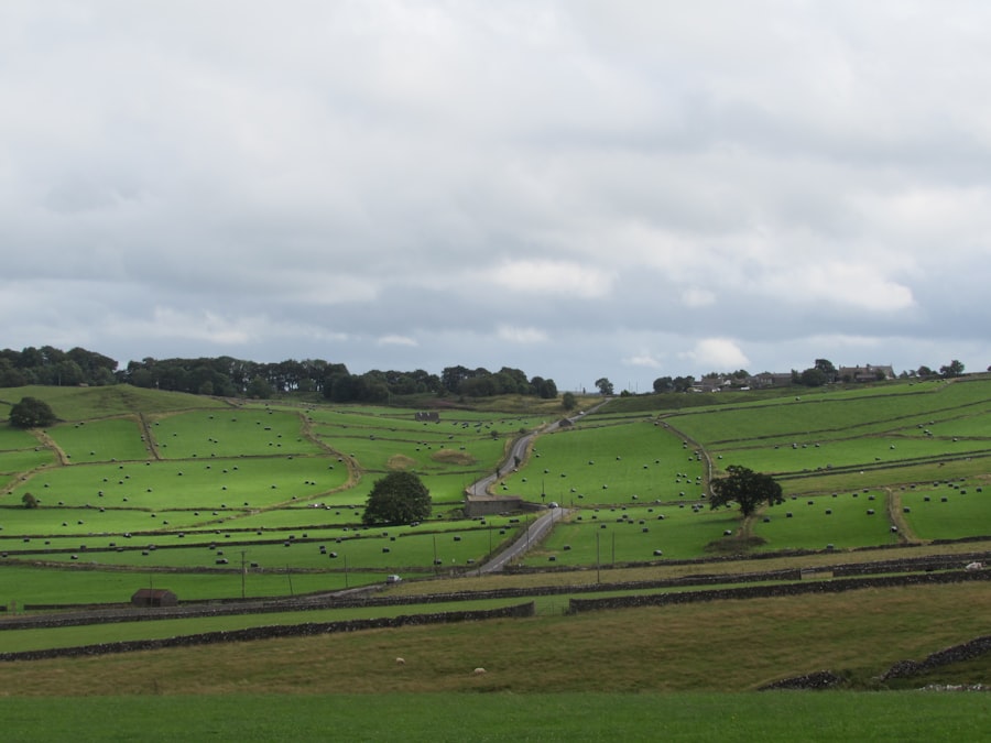 farmland link