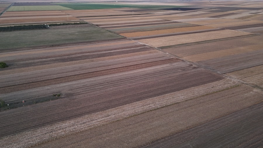 farmland exploitation