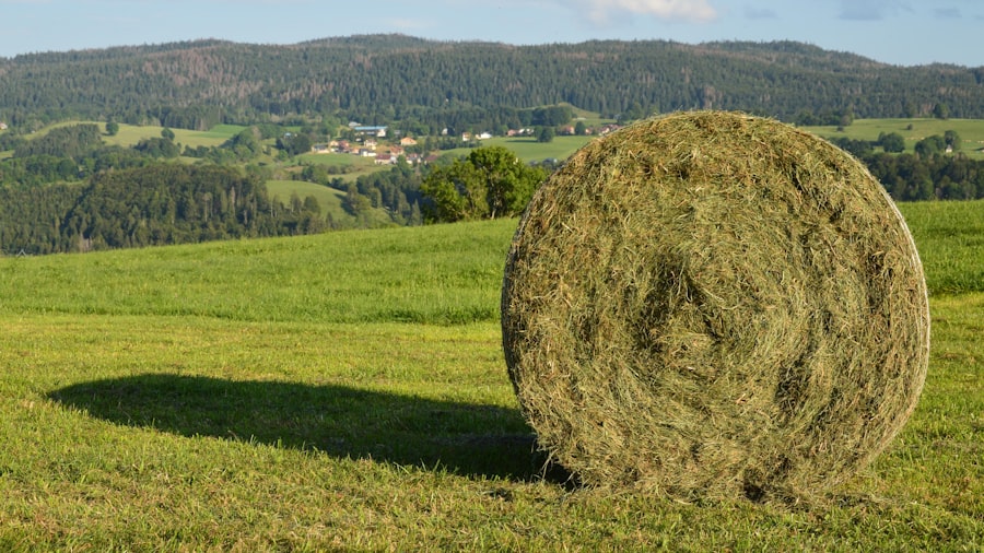 farmland bubble crash
