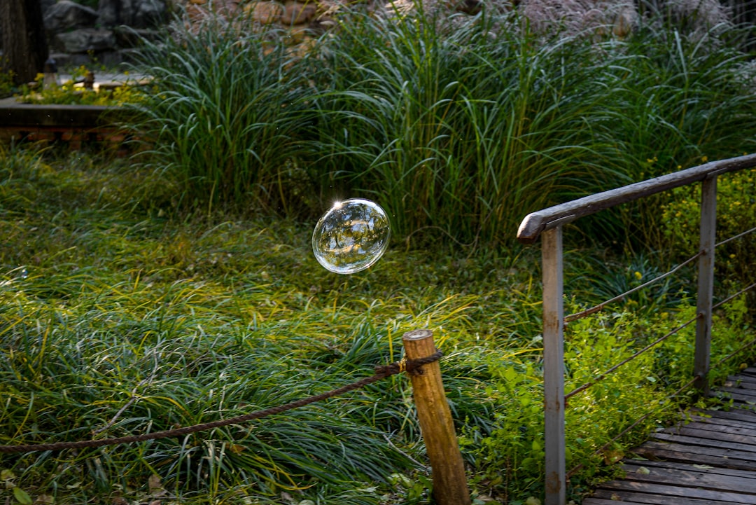Photo wilderness bubble