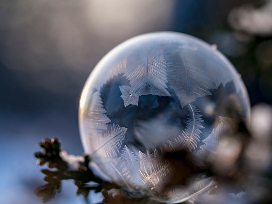 Photo wilderness bubble
