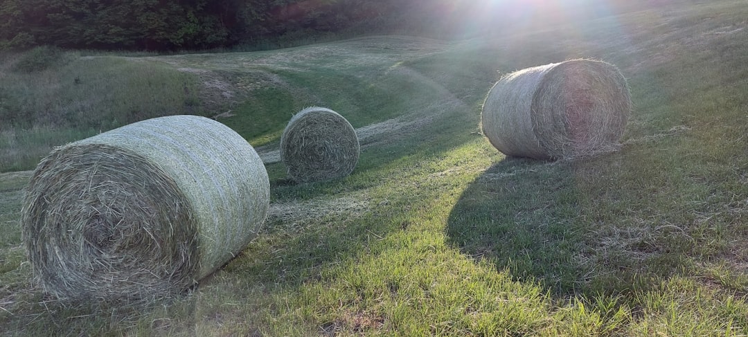 Photo farmland bubble