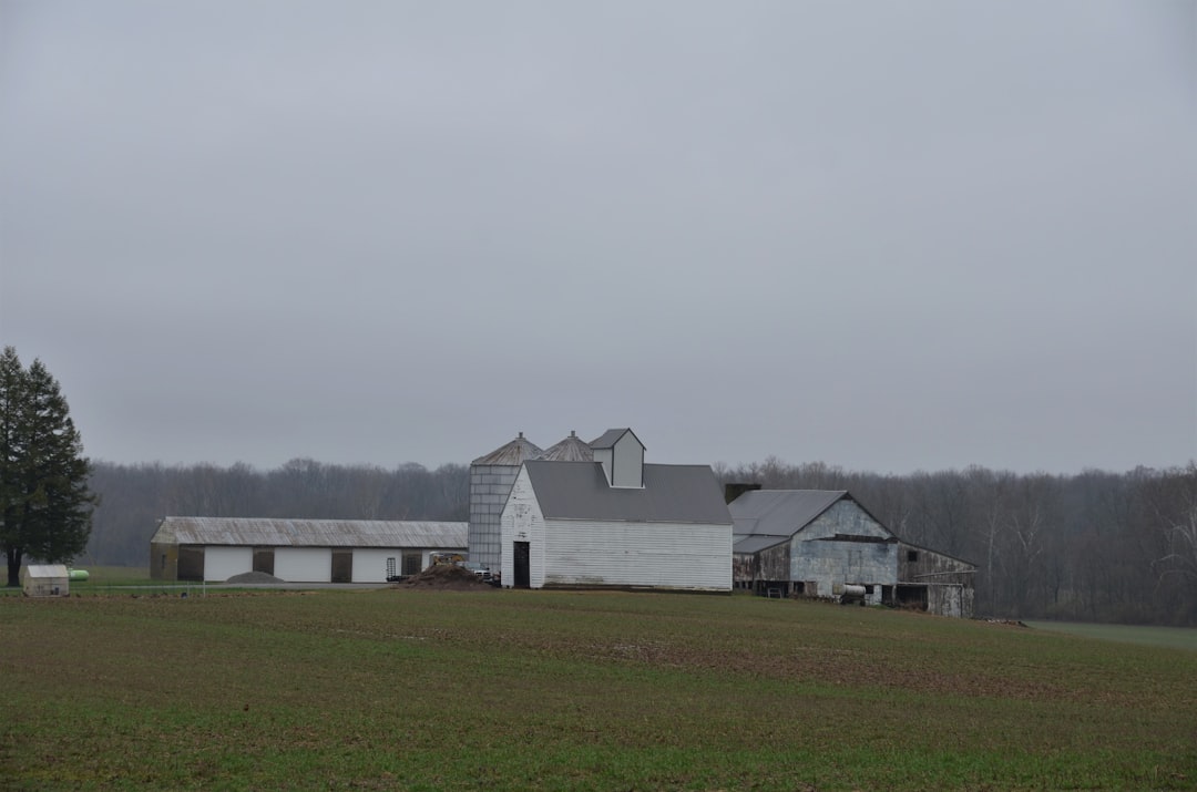Photo farmland REITs