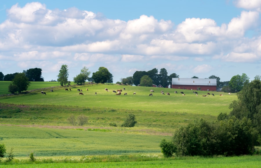 Photo farmland REITs