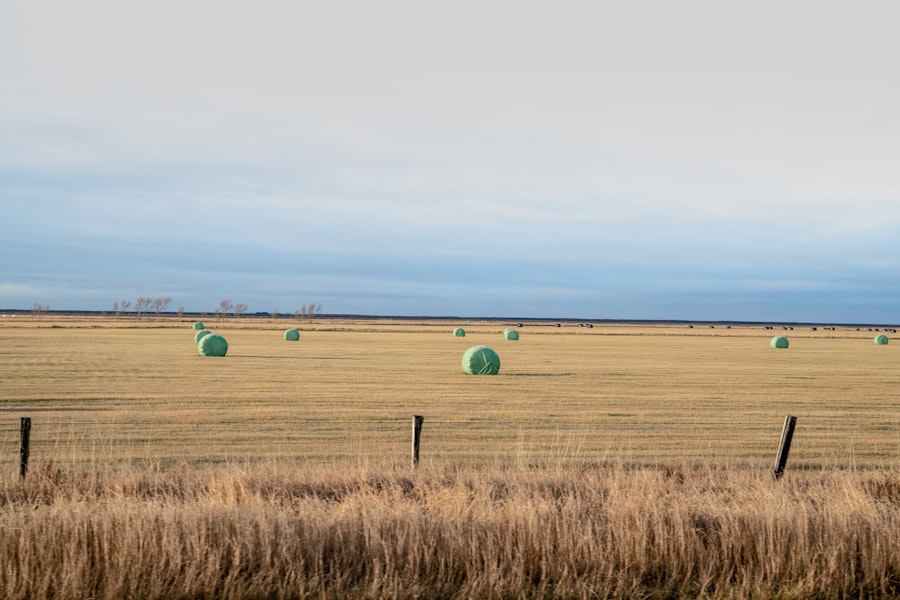 Photo farmland investment bubble warning