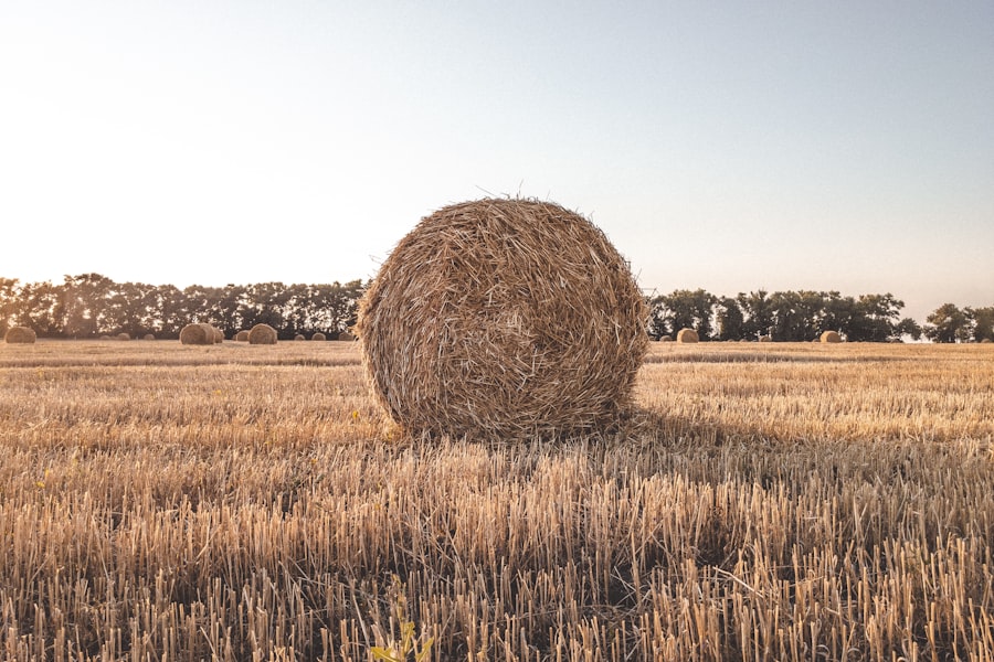 Photo agricultural land bubble