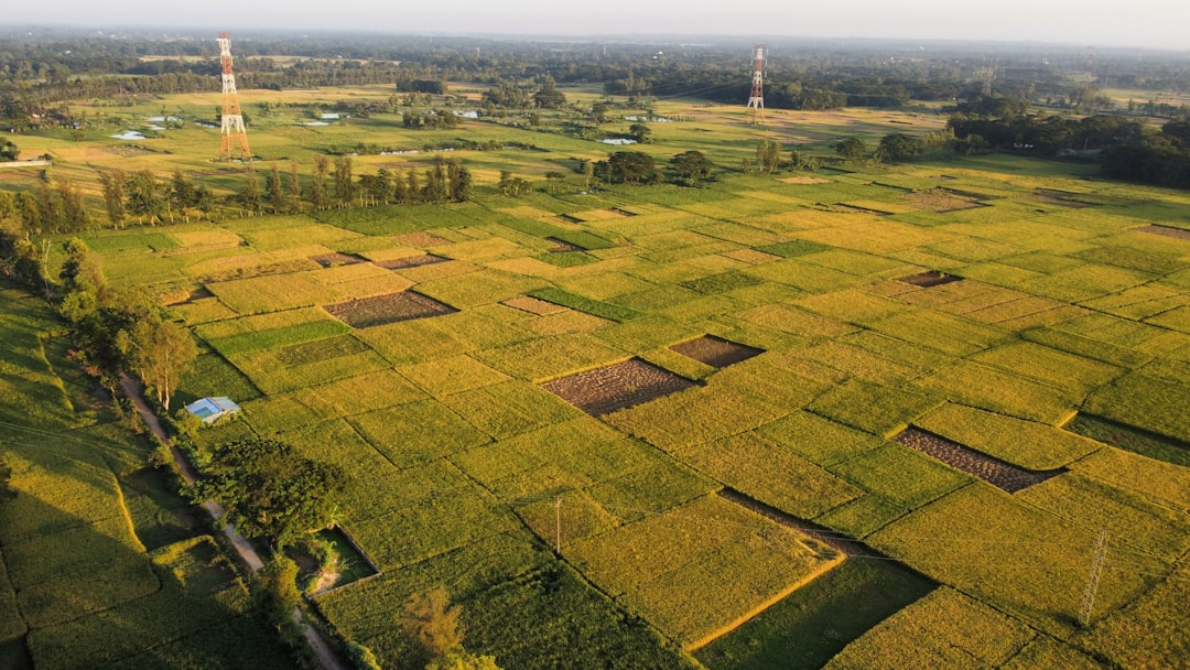 Photo farmland investment