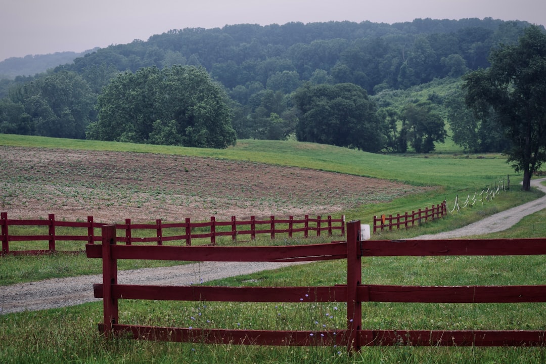 Photo private equity farmland buying