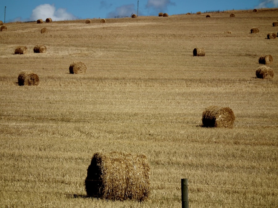 Photo farmland prices crash