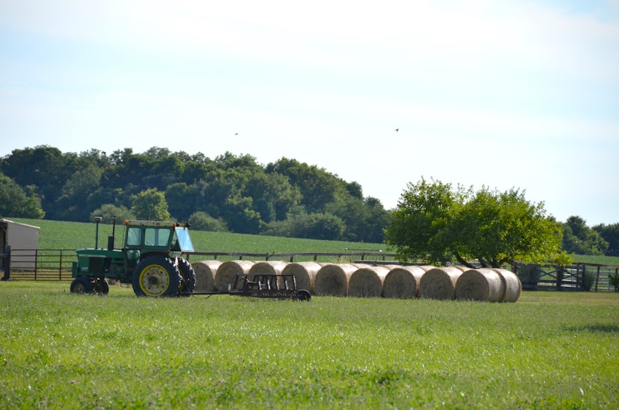 Photo farmland bubble effects consumers