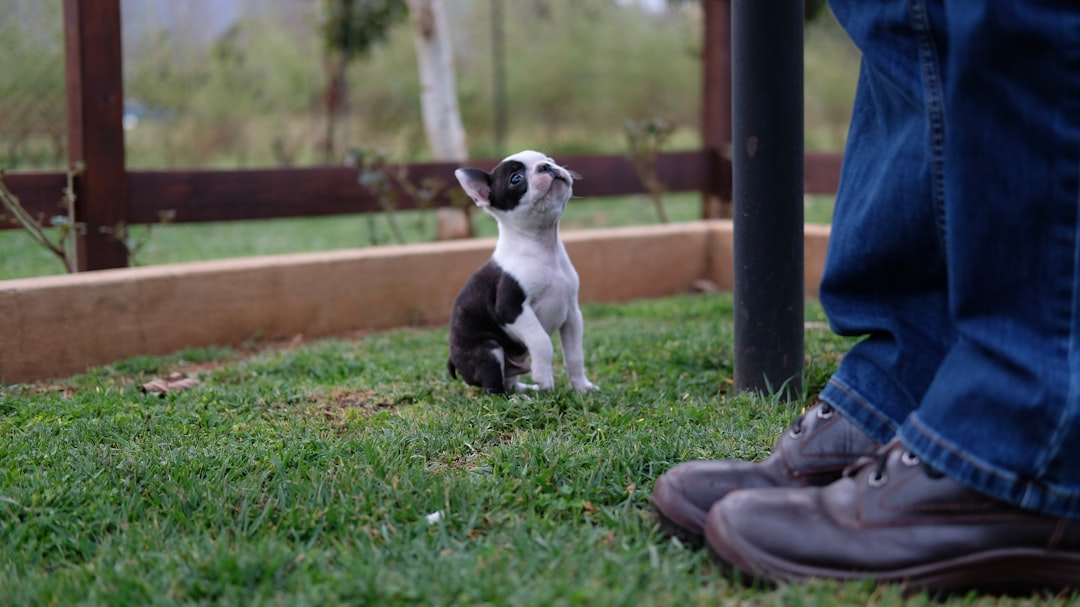 Photo farmland owners