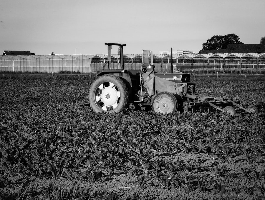 Photo corporate farming