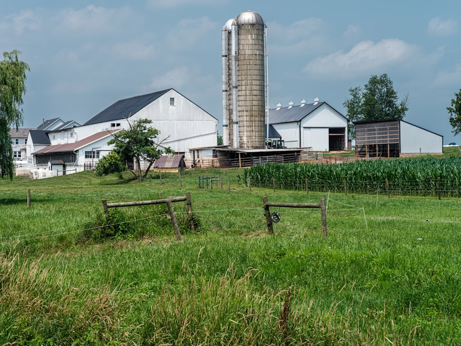 Photo farmland investment risks