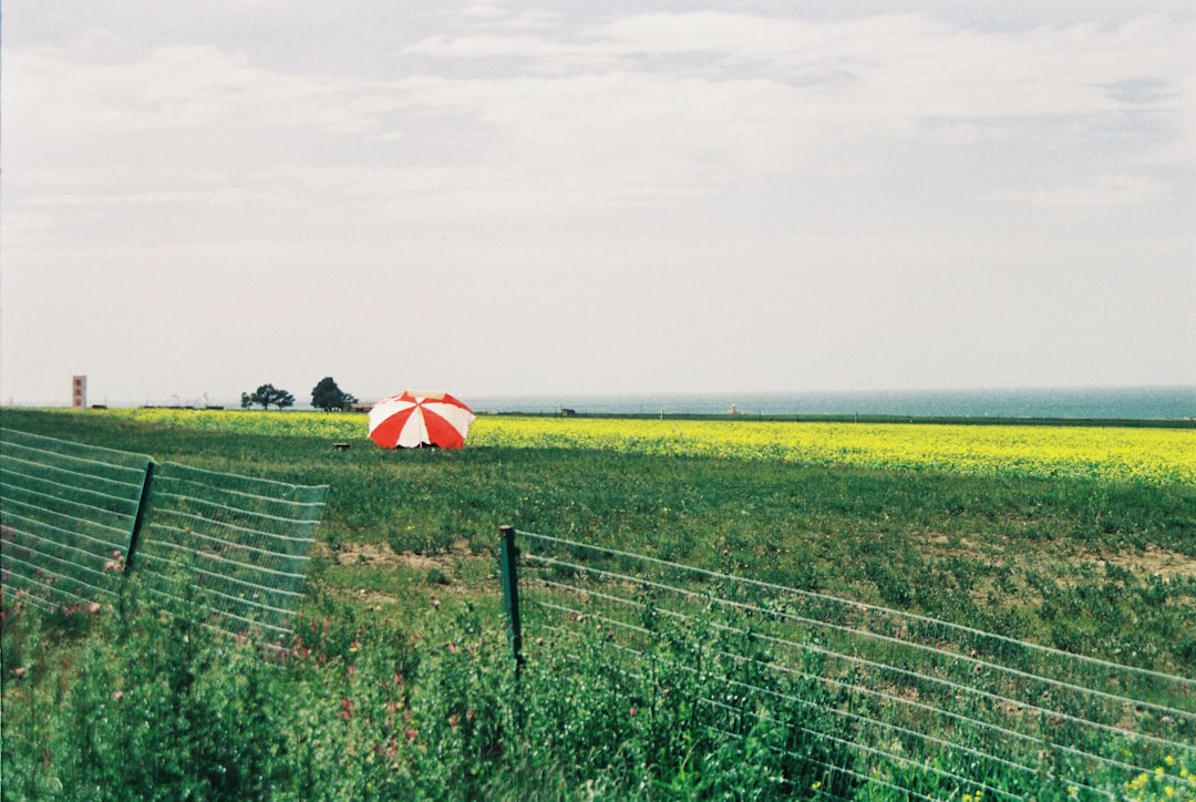 Photo farmland bubble
