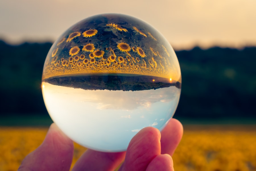 Photo farmland bubble