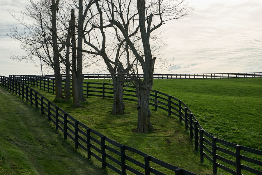 Photo farmland link