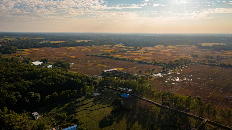 Photo farmland exploitation
