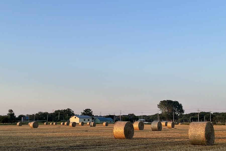Photo farmland bubble crash