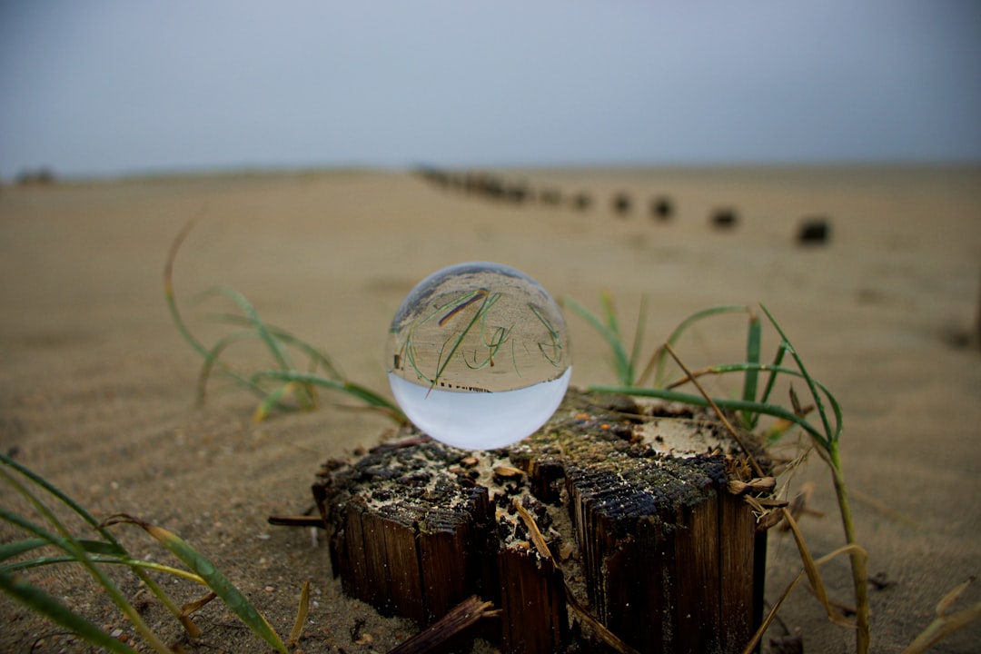 Photo farmland bubble forecast