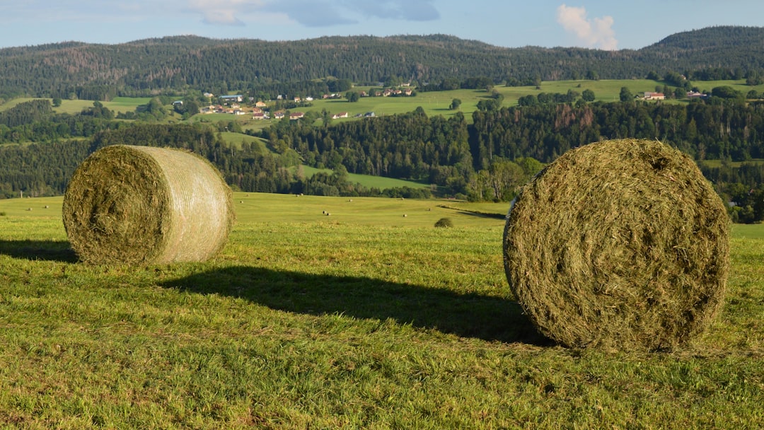 Photo farmland market bubble