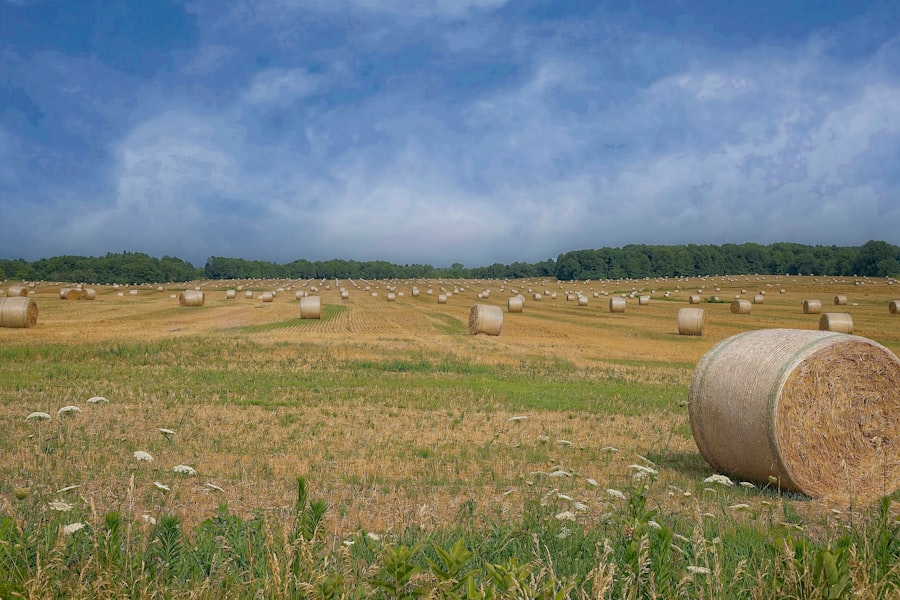Photo farmland market bubble