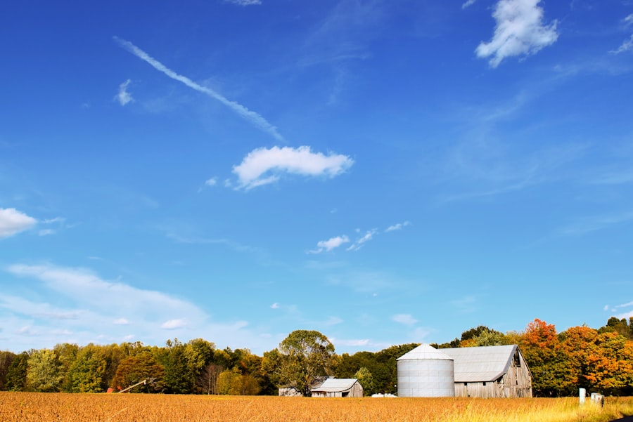 Photo farmland market bubble