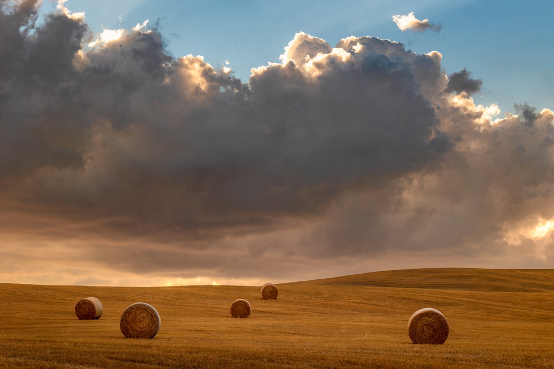 Photo farmland market bubble