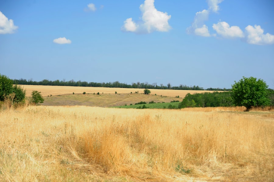 Photo farmland investment