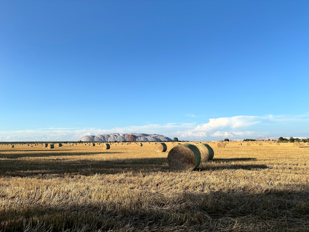 Photo farmland bubble