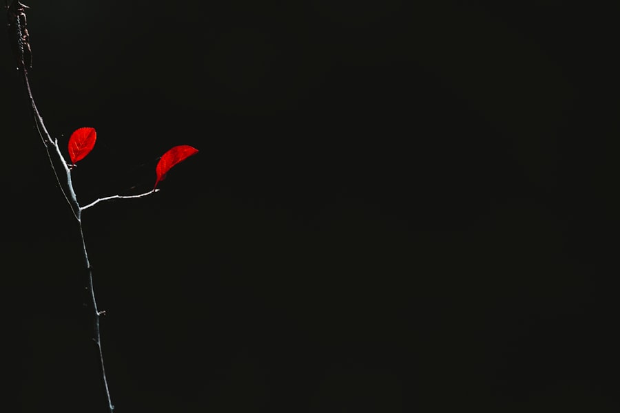 Photo pension contribution