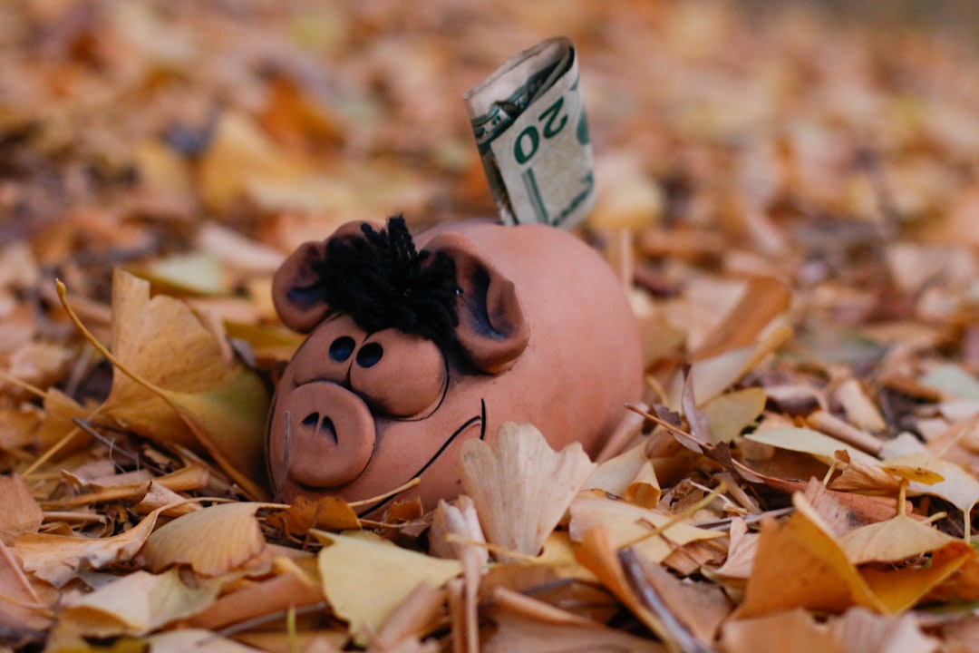 Photo bankruptcy prevention