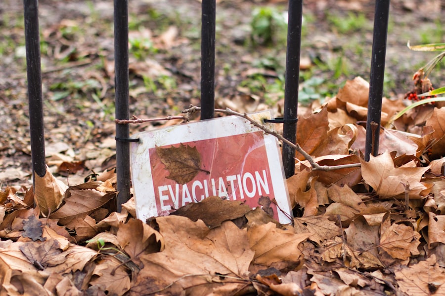 Photo bankruptcy prevention