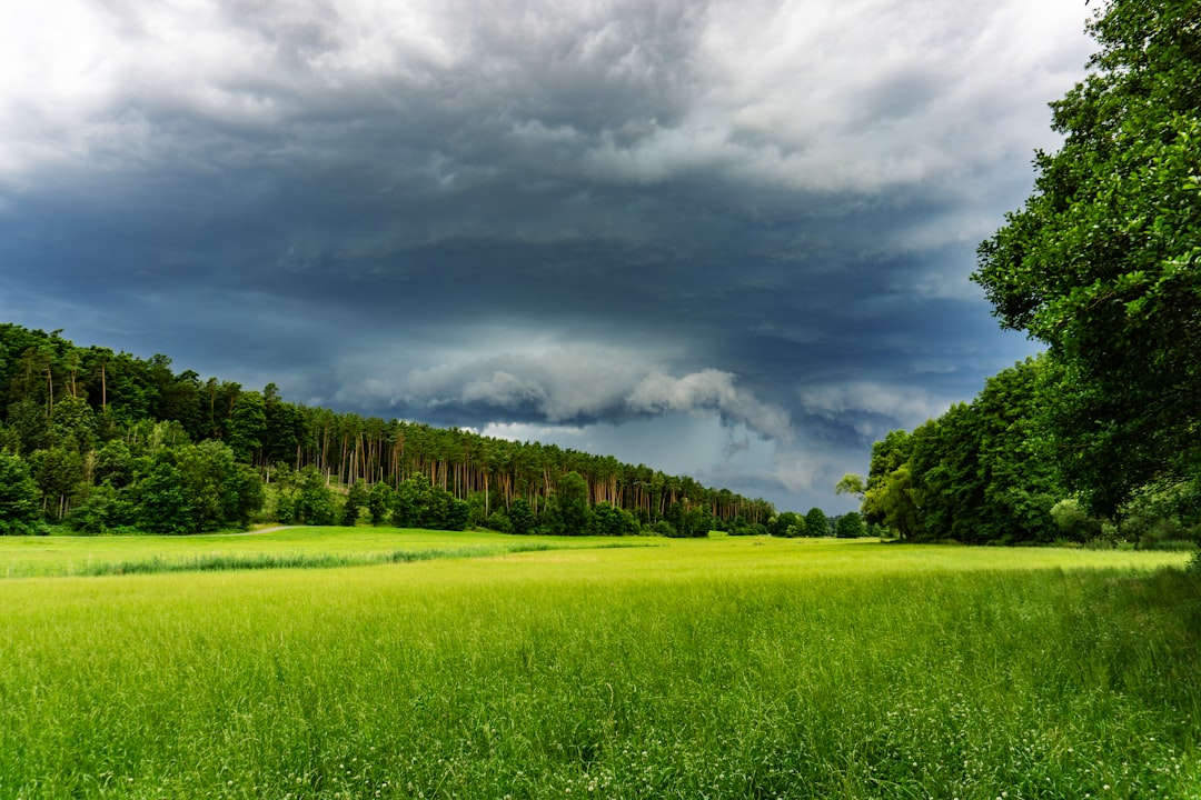 Photo climate adaptation funding municipal bonds