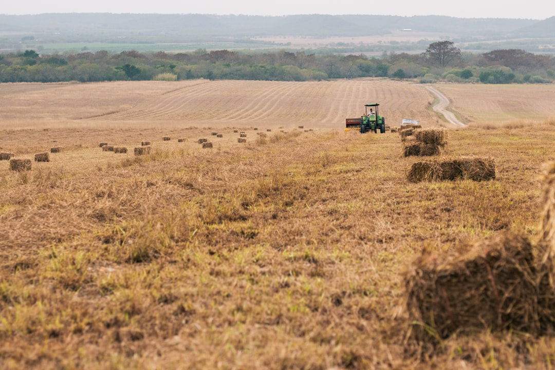 Photo farmland investment risks