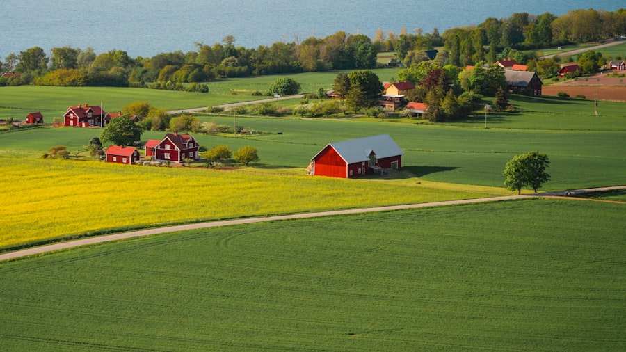 Photo farmland investment risks