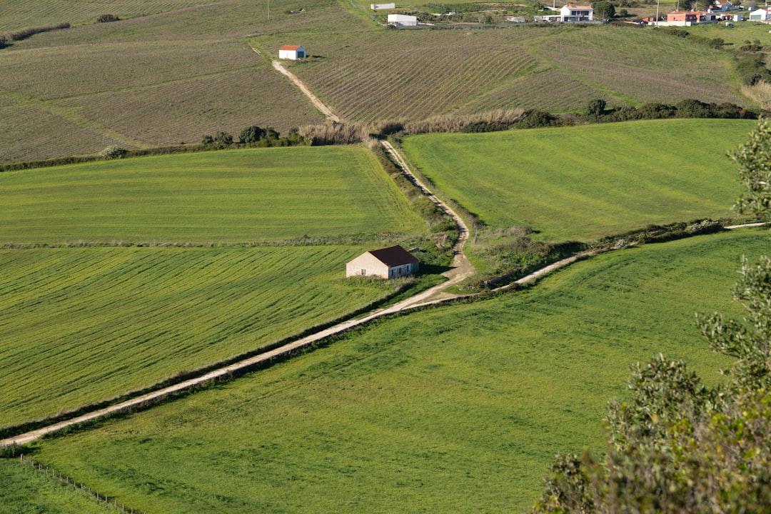 Photo institutional farmland