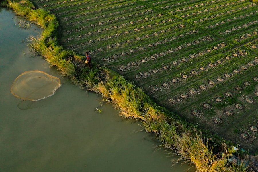 Photo agricultural resources