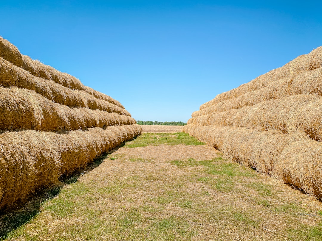 Photo farmland market predictions