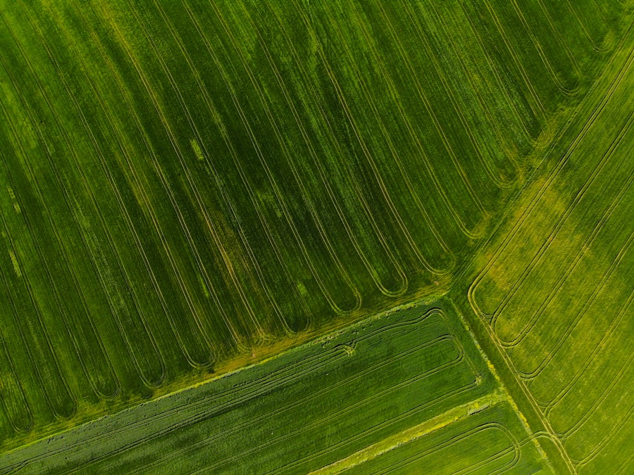 Photo farmland