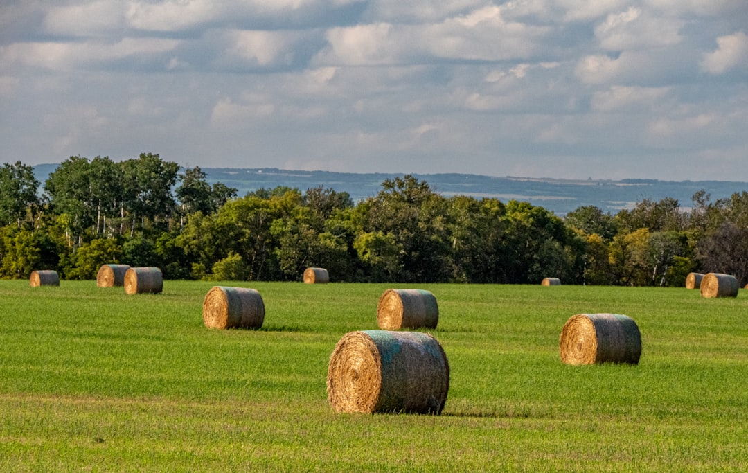 Photo farmland investment strategy